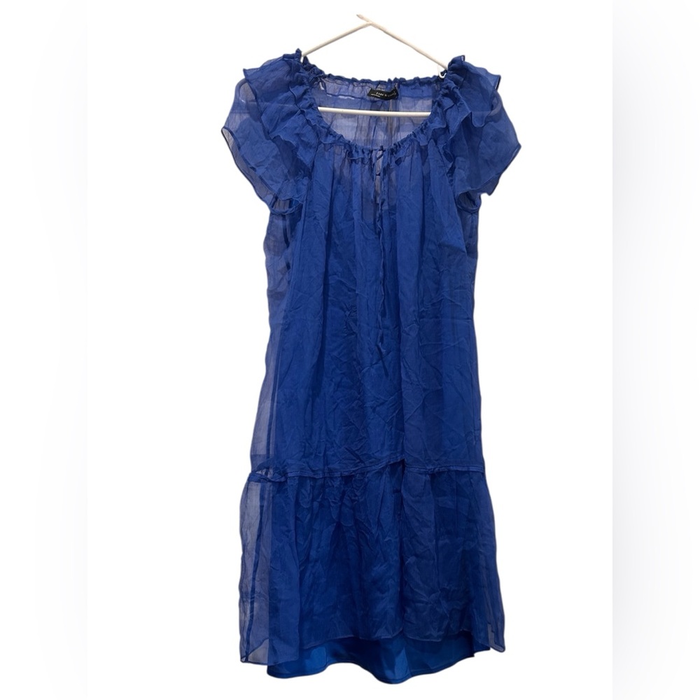 Zara Sheer Blue Blouse